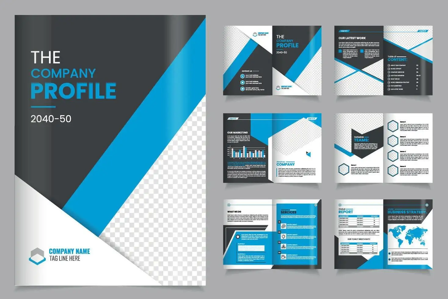 Company profile