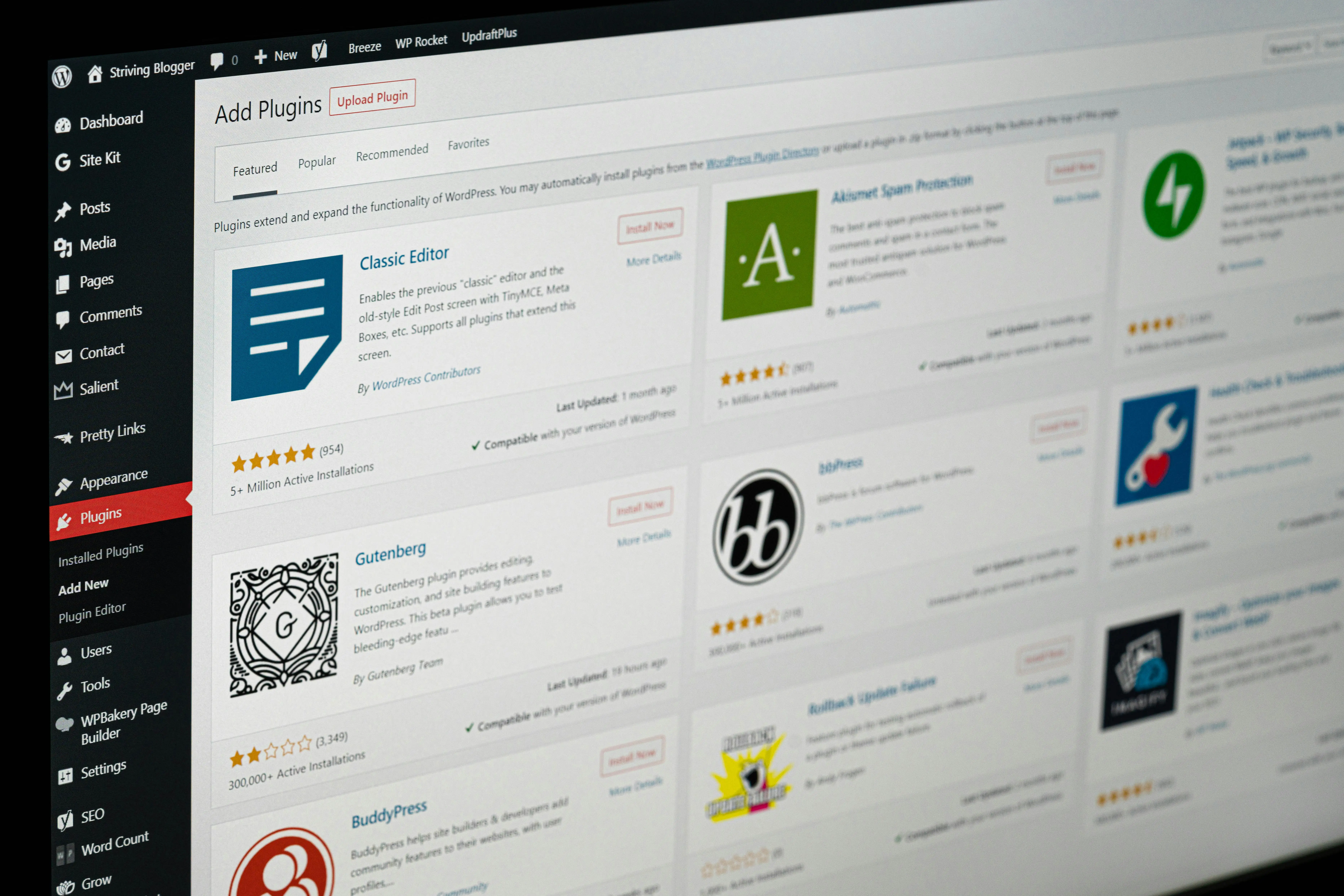 WordPress website design